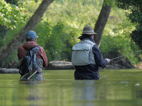 Sortie adulte de pêche à la mouche et vie de la rivière
