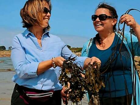 Cueillette et préparation aux algues