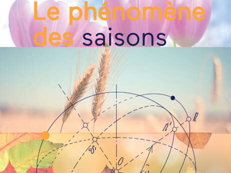 Le phénomène des saisons