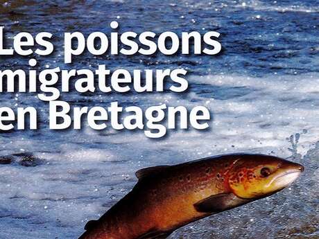Les poissons migrateurs en Bretagne