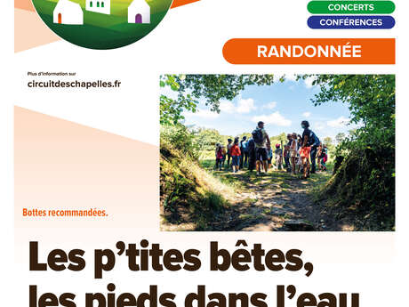 Les p'tites bêtes, les pieds dans l'eau