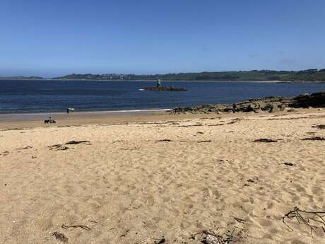 Changements climatiques passés et actuels