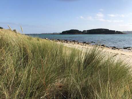 Les îles devant l'Ile Grande en bateau