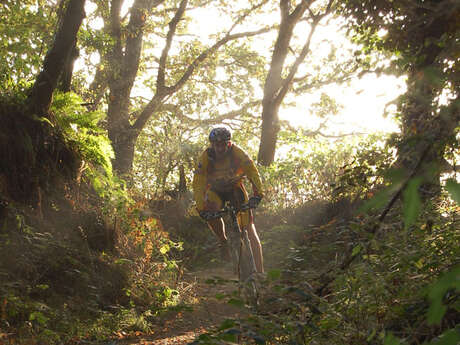 Circuit VTT de Pluzunet