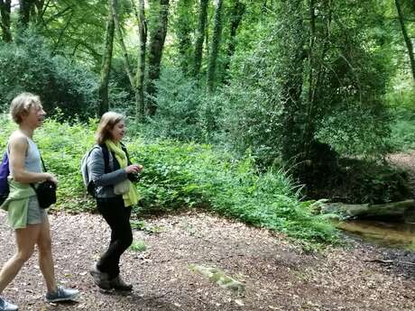 Rando découverte accompagnée Rando découverte accompagnée