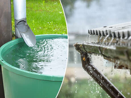 Stage récupération et utilisation de l’eau de pluie