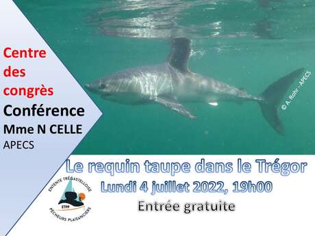 Conférences sur le requin taupe dans le Trégor Conférences sur le requin taupe dans le Trégor