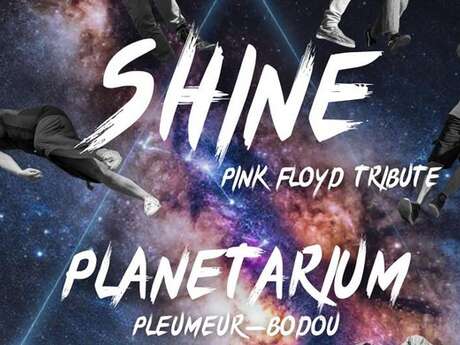Shine - Pink Floyd Tribute