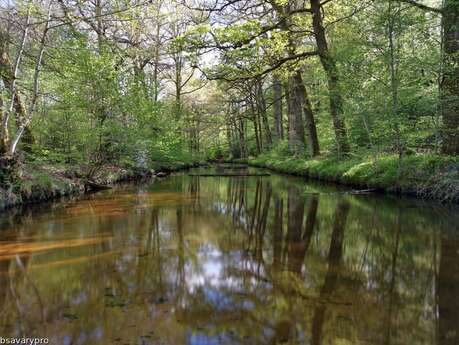 La Vallée de la Maulde