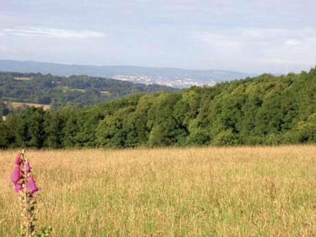 Circuit de VTT n°6