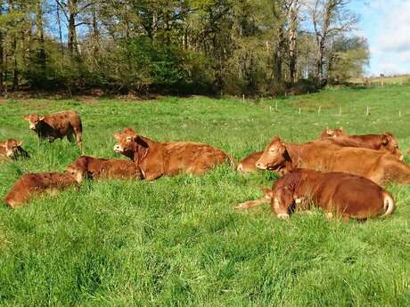 La Ferme de Boursolles