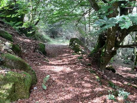 Sentier d'interprétation des pierres fades