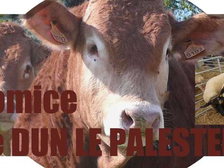 Comice agricole et brocante / foire commerciale Comice agricole et brocante / foire commerciale