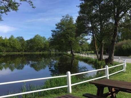 Camping Les Vergnes