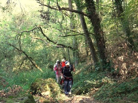 Randonnée pédestre - Sur les hauteurs de Toulx
