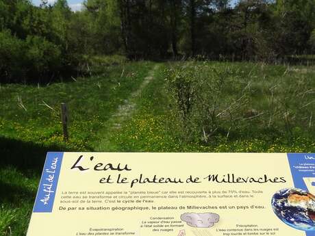 Au fil de l'eau - 12 km