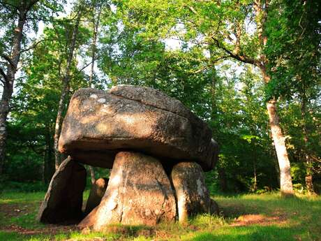 Circuit de randonnée : Dolmen d'Urbe Circuit de randonnée : Dolmen d'Urbe