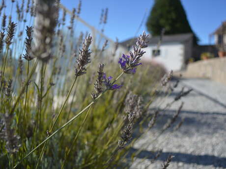SAS LCA Le Petit Clos