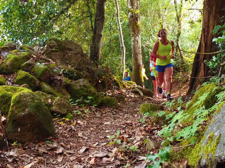 Circuit Uni'Vert Trail n°7 : Urbain'POLT