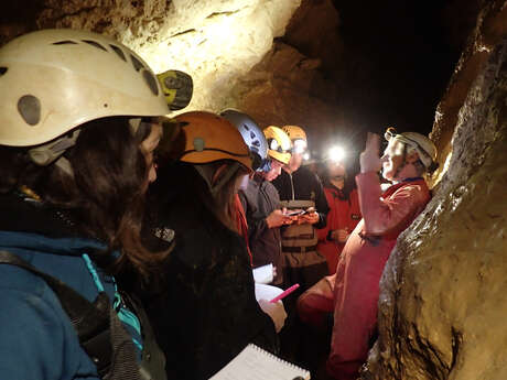 Le milieu souterrain : une nuit perpétuelle