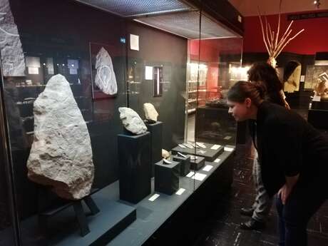 Visite commentée : La collection Préhistoire du musée