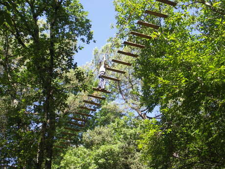 La Forêt des Ecureuils