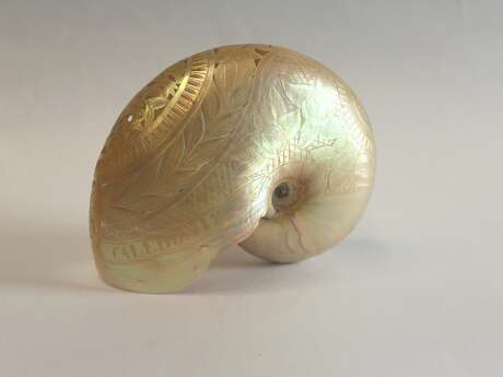 Les jeudis du musée : Les collections océaniennes