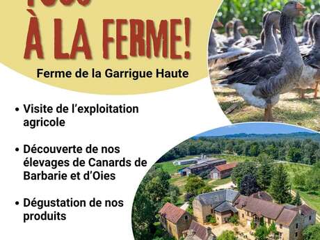 TOUS A LA FERME !