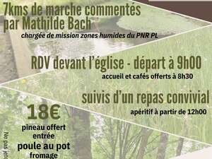 Randonnées pédestre