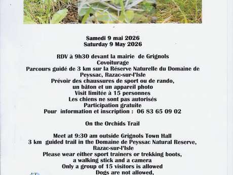 Chemin des Orchidées