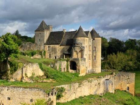 Château de Salignac