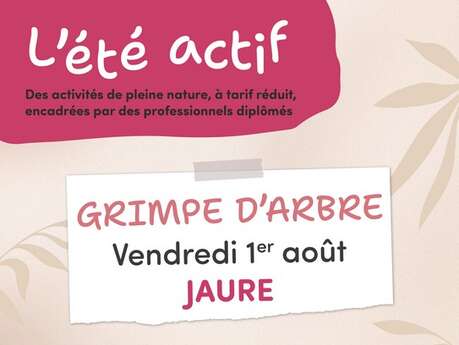 Eté actif : Grimpe d’arbre