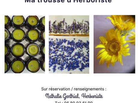La voie des Plantes Sauvages - macérats, eau florale Le 30 nov 2023