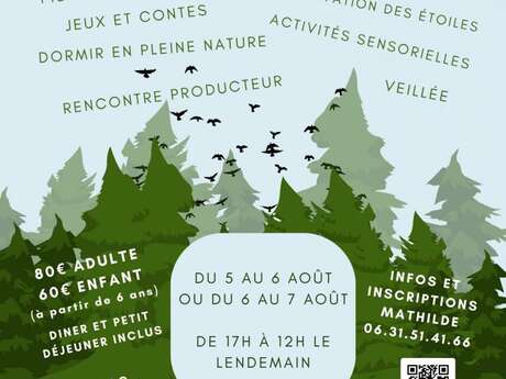 Bivouac en forêt