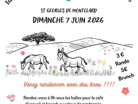 Randonnée ânes et Brunch