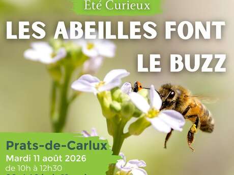 ETE CURIEUX : Les abeilles font le buzz à Prats-de-Carlux