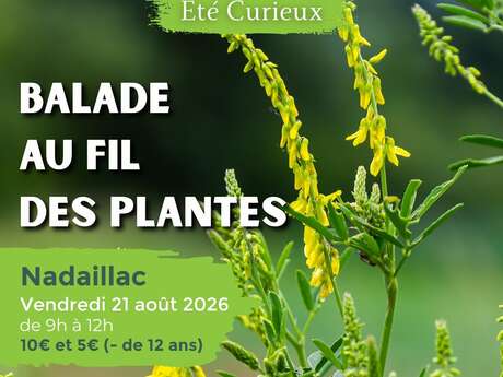 ETE CURIEUX : Balade au fil des plantes à Nadaillac