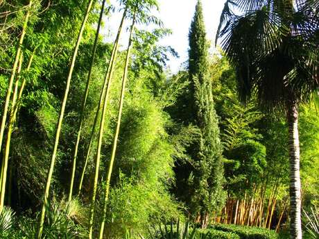 Jardin les Bambous de Planbuisson