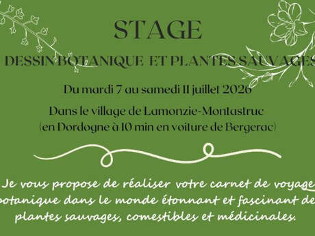 Stage dessin botanique et plantes sauvages