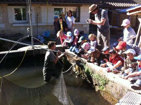 Chasse au trésor sur les traces de la truite, un poisson bien élevé !