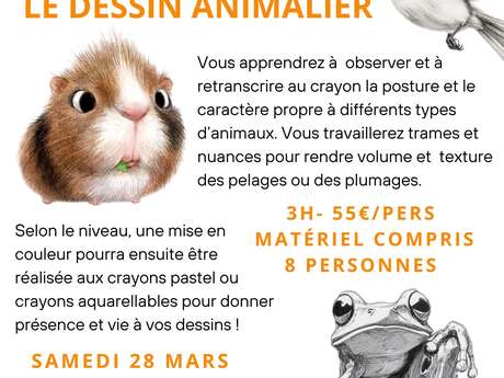 Stage dessin-peinture : Le Dessin Animalier par Floriane VIRGO