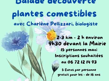 Balade autour des plantes comestibles