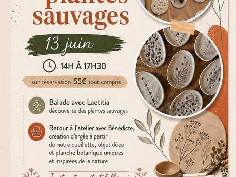 Argile et plantes sauvages