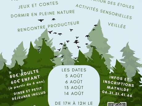 Bivouac en forêt