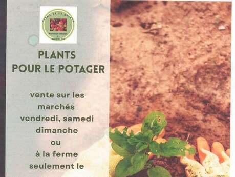 Vente de plants pour le potager