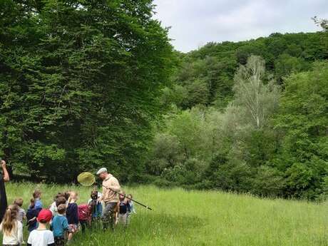 Sur la piste des abeilles sauvages