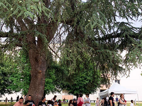 Fête du quartier et de l'école Gour de l'Arche