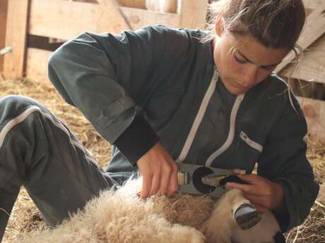 EXPOSITION - Le champ des femmes