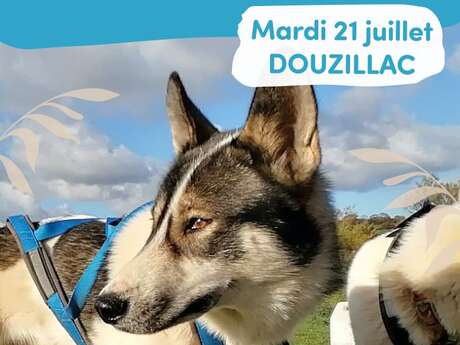 Été actif : Cani-rando
