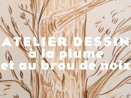 Atelier : Dessin à la plume et au brou de noix